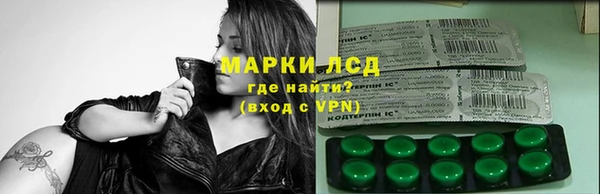 мдпв Магас