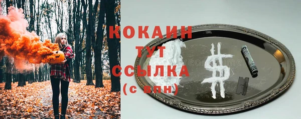 мдпв Магас