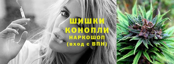шишки Лиски