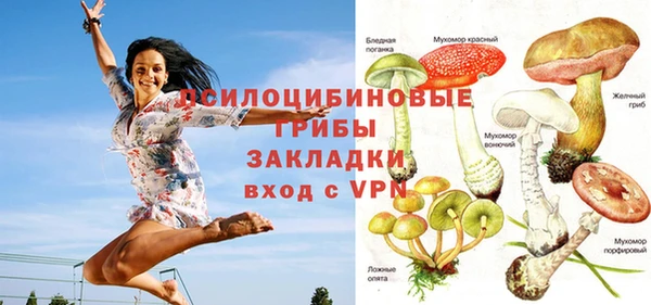 эйфоретик Липки
