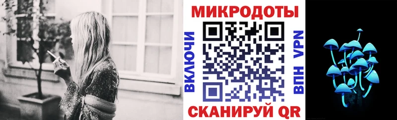 Купить где  Конаково  Псилоцибиновые грибы Psilocybine cubensis 